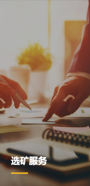 選礦服務(wù)